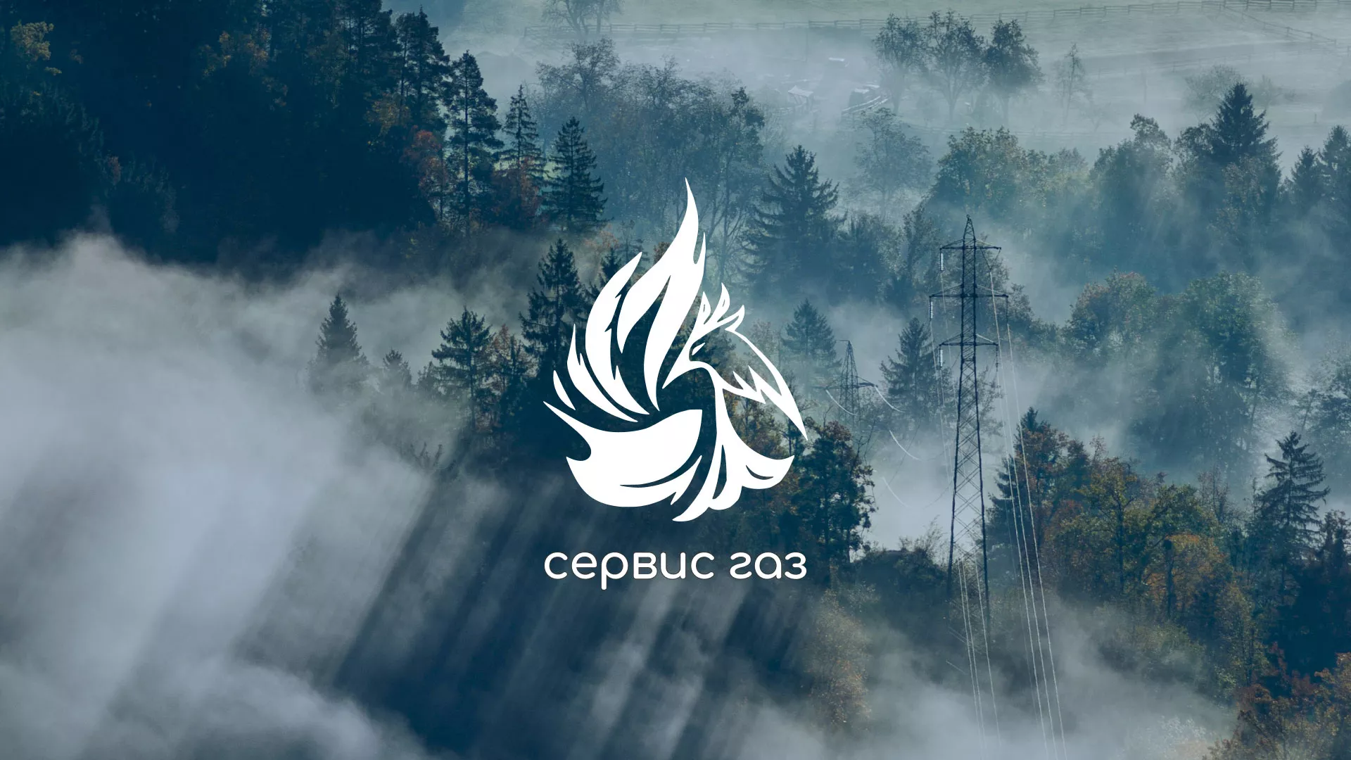 Создание сайта компании «Сервис газ» в Гусь-Хрустальном