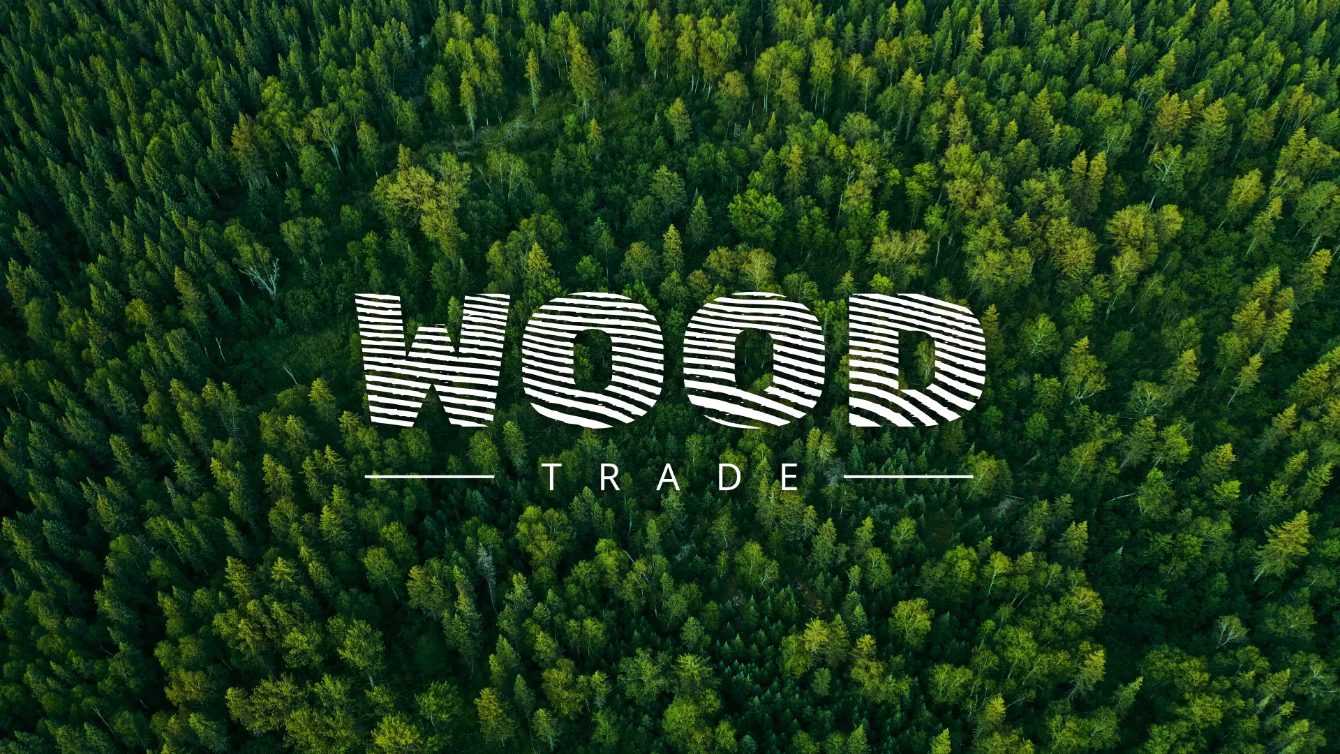 Разработка интернет-магазина компании «Wood Trade» в Гусь-Хрустальном