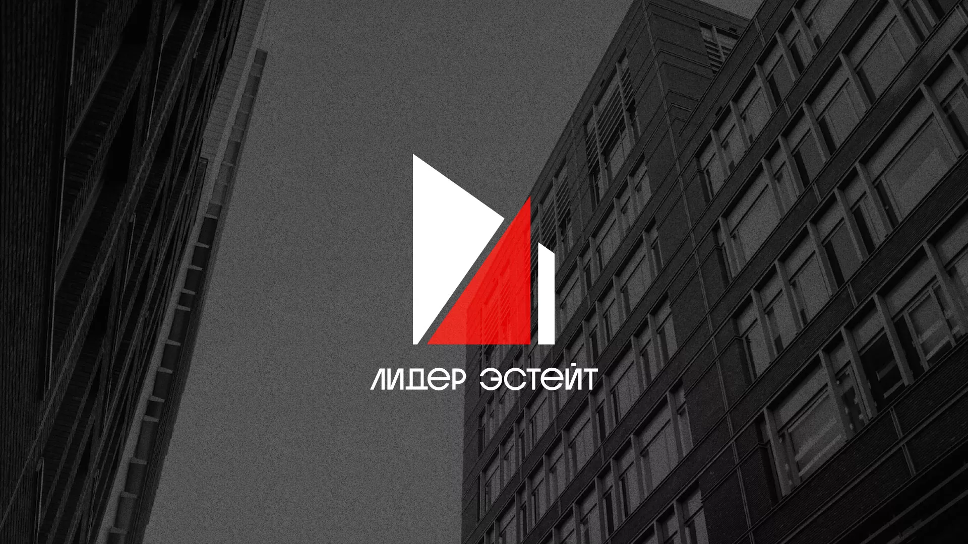 Сделали логотип для агентства недвижимости «Лидер Эстейт» в Гусь-Хрустальном